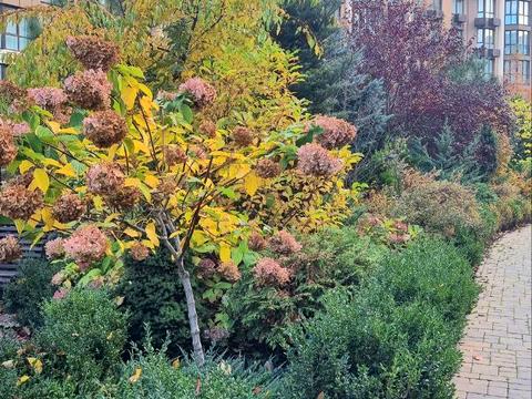 квартира по адресу Счастливая ул., 67