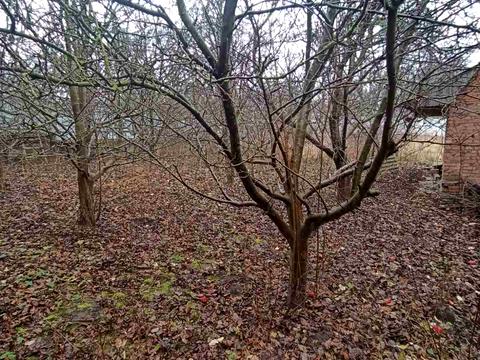 будинок за адресою Фельштинська вул., 17