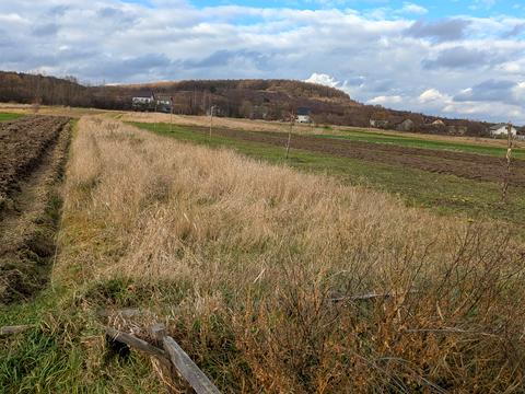 будинок за адресою Шевченка, 502