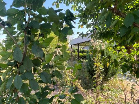ділянка за адресою Лісовий хуторок