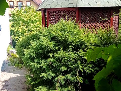 будинок за адресою Центральна вул.