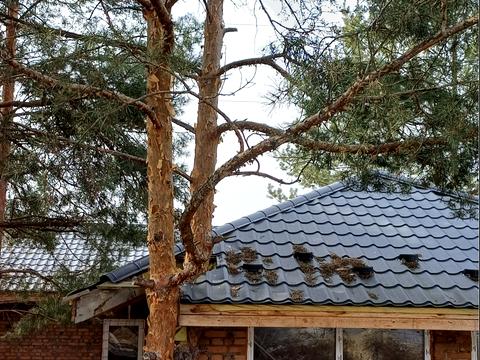 дом по адресу Козин