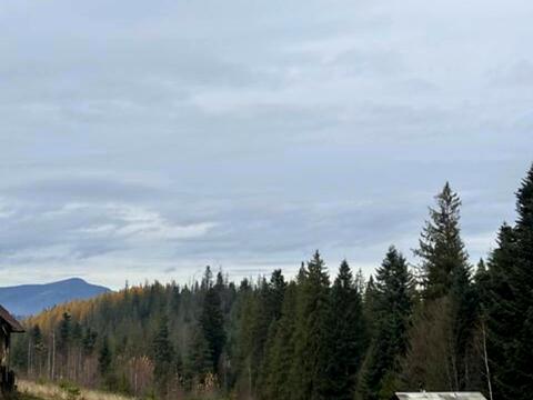 участок по адресу Пожежа