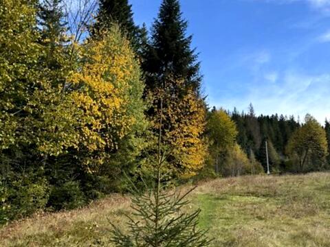 участок по адресу Пожежа