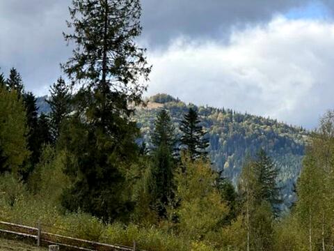 участок по адресу Пожежа