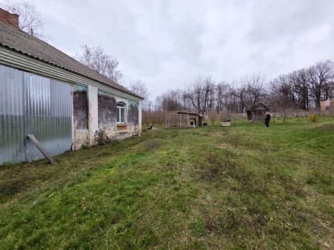 комерційна за адресою Провулок Святковий, 2