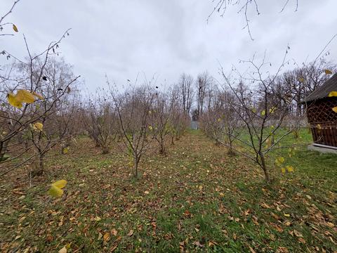 комерційна за адресою Провулок Святковий, 2