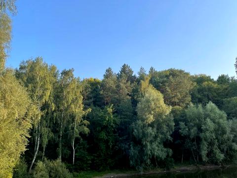 участок по адресу Поміркова