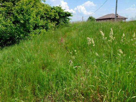 участок по адресу Поміркова