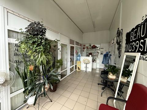 комерційна за адресою Велика Діївська вул. (Братів Трофімових), 111р