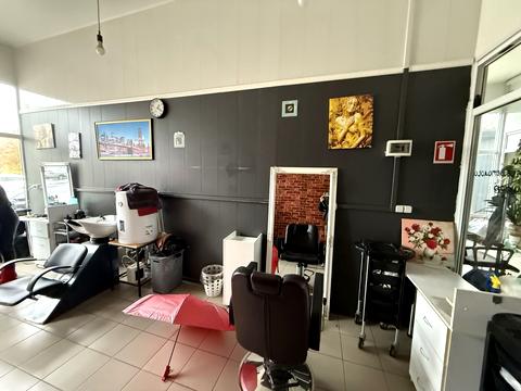 комерційна за адресою Велика Діївська вул. (Братів Трофімових), 111р