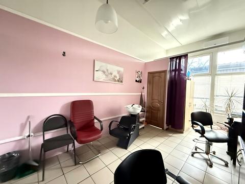 комерційна за адресою Велика Діївська вул. (Братів Трофімових), 111р