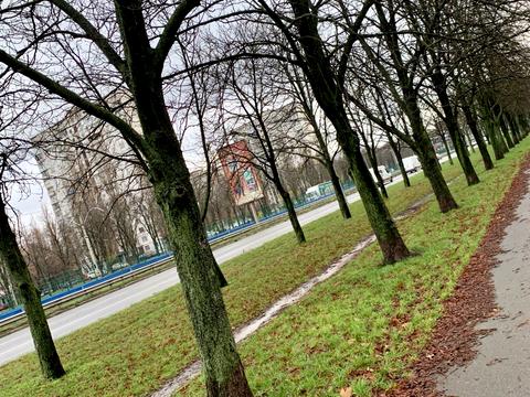 квартира за адресою Леся Курбаса просп., 9