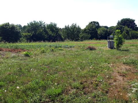 участок по адресу Полтавська