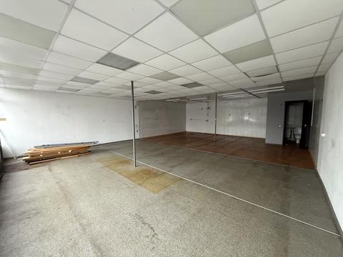 комерційна за адресою Велика Діївська вул. (Братів Трофімових), 111р