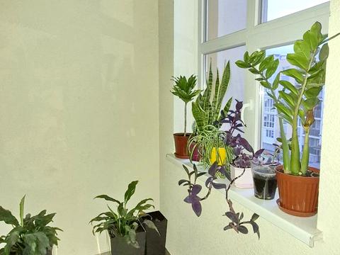 квартира по адресу Торговая ул., 21