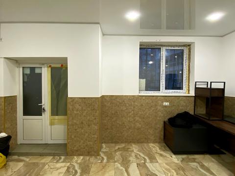 коммерческая по адресу Мєчнікова, 109б