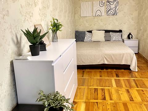 квартира по адресу Надежды Алексеенко ул. (Чичерина), 108