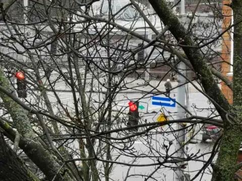 квартира за адресою Щусєва вул., 3