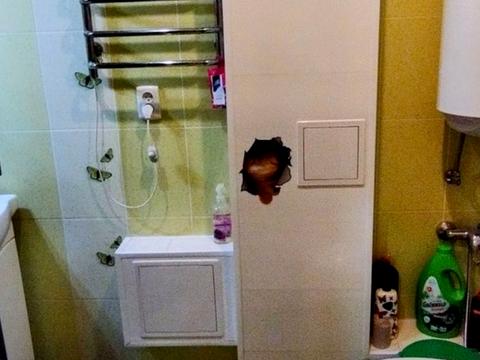 квартира за адресою Бочарова вул., 16-А