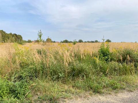 участок по адресу Фальківська