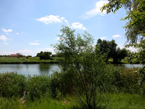 будинок за адресою Шевченка, 63