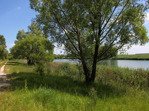 будинок за адресою Шевченка, 63