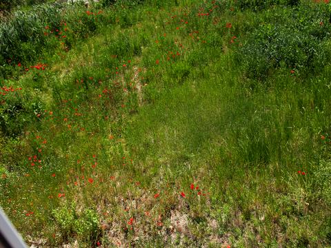 будинок за адресою Шевченка, 63