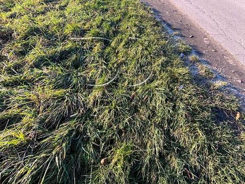 ділянка за адресою Курганна вул.