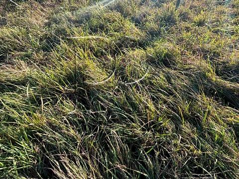 ділянка за адресою Курганна вул.