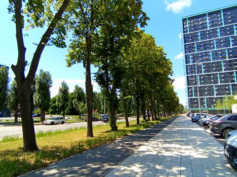 квартира по адресу Виктора Некрасова ул. (Північно-Сирецька), 10