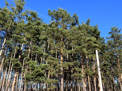 будинок за адресою Незалежності