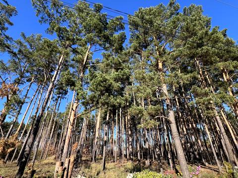 будинок за адресою Незалежності