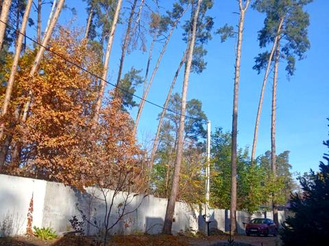 дом по адресу Севериновская ул. (Жовтнева)