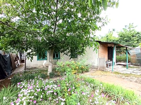 будинок за адресою Любомира Гузара вул.