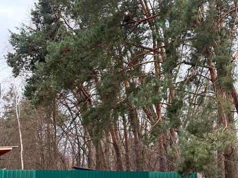 квартира за адресою Свободи, 39