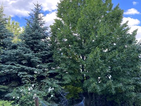 дом по адресу Леси Украинки ул.