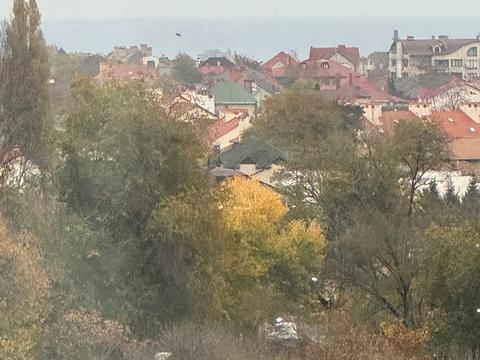 квартира по адресу Жемчужная ул., 1