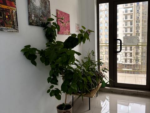 квартира по адресу Жемчужная ул., 1