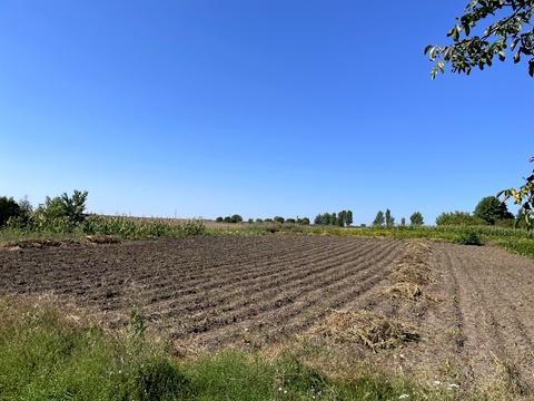 дом по адресу Шаріпова, 20