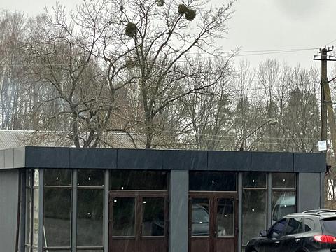 комерційна за адресою с. Троянів, Висоцького, 1