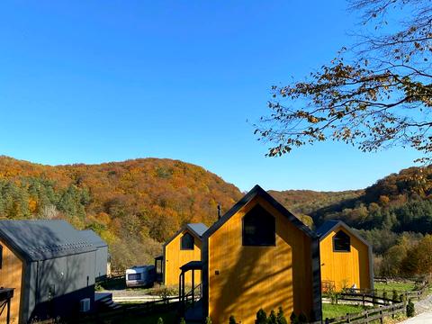 будинок за адресою Схили