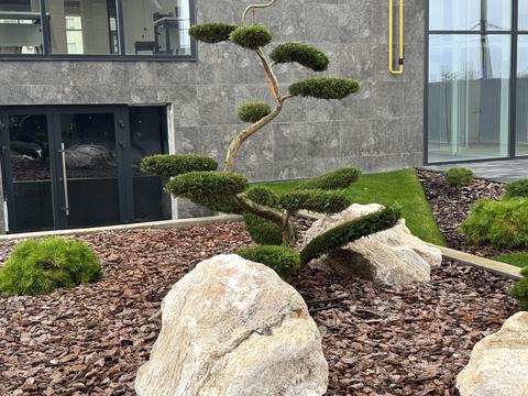 квартира по адресу Барское шоссе, 1-А