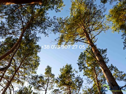 дом по адресу Ярослава Мудрого