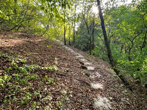 ділянка за адресою Помиркова