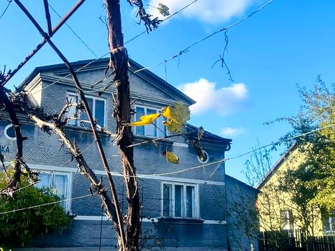 будинок за адресою Лисинка, 6