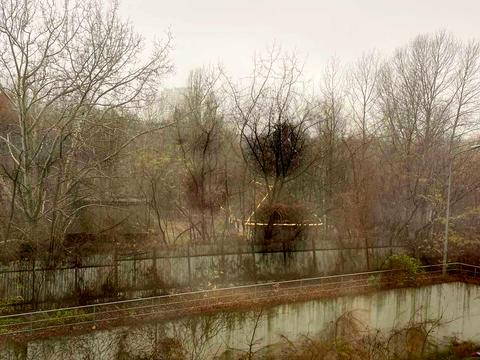 квартира за адресою Михайла Донця вул., 2-А