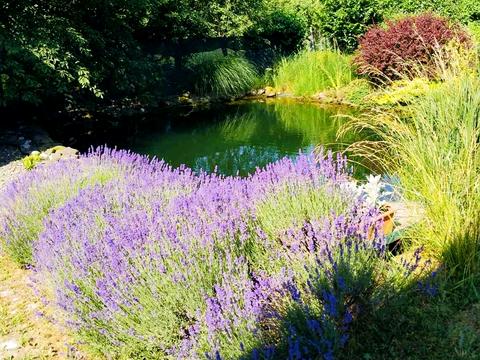 дом по адресу Ужгородская ул.