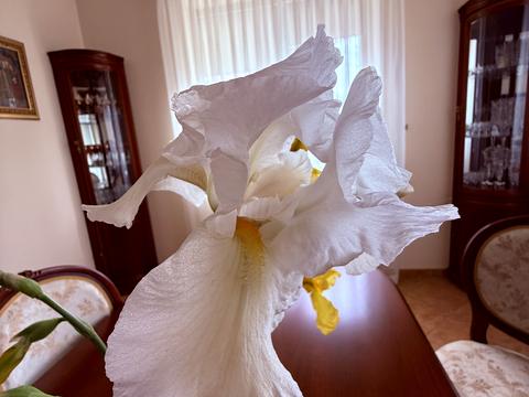 дом по адресу Ужгородская ул.