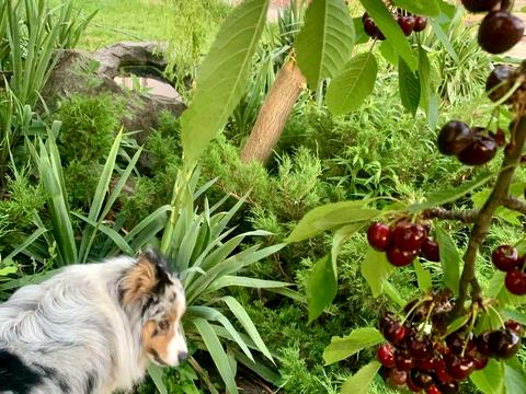 будинок за адресою Далека вул.